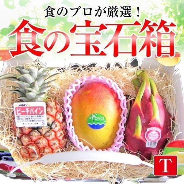 果物ギフト 食の宝石箱【Ｔ】 トロピカル フルーツバスケット【パイン＋アップルマンゴー＋ドラゴンフル...