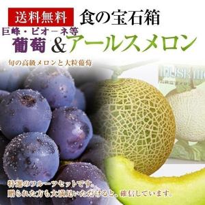 メロンと葡萄セット 《大粒黒ぶどう&アールスメロ...の商品画像