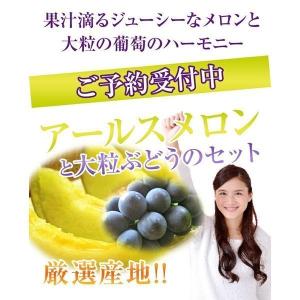 メロンと葡萄セット 《大粒黒ぶどう&アールスメ...の詳細画像1
