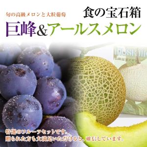 メロンと葡萄セット 《大粒黒ぶどう&アールスメ...の詳細画像2