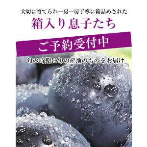 メロンと葡萄セット 《大粒黒ぶどう&アールスメ...の詳細画像4