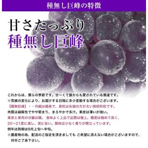 メロンと葡萄セット 《大粒黒ぶどう&アールスメ...の詳細画像5
