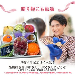 果物ギフト 食の宝石箱【A-2】 特選果物ギフ...の詳細画像2