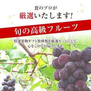 果物ギフト 食の宝石箱 フルーツボックス【花】...の詳細画像4
