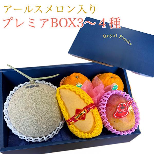 御年賀 果物ギフト 食の宝石箱 【プレミアボックス３〜４種入り】 アールスメロン 入りフルーツ セッ...