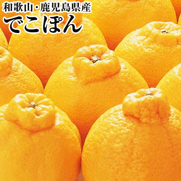でこぽん 秀品約３Ｋｇ デコポン 御年賀 柑橘 みかん  フルーツギフト 果物ギフト