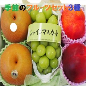 果物ギフト 食の宝石箱【Ｂ−３】 フルーツセット３種ギフト化粧箱 果物 詰め合わせ  フルーツ 盛り合わせ｜fukui