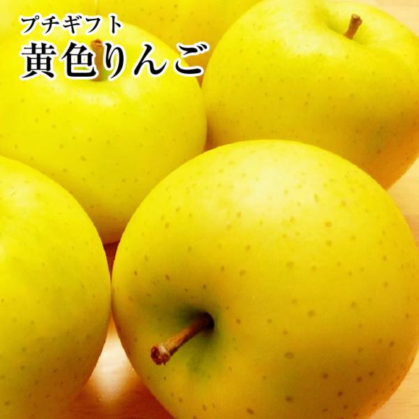 プチギフト 黄色りんご ５玉手提げ袋入り トキ きおう 金星  王林  シナノゴールド 等 黄色林檎...