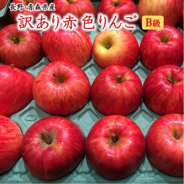 りんご　Ｂ級赤色りんご　約３Ｋ【富士】【サンフジ】【つがる】【陽光】【ジョナゴ−ル】等等　長野青森産...