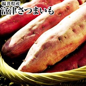 さつまいも B級 富津金時さつまいも 約５Ｋ箱 福井県 特産 とみつ金時 富津 えちぜん 越前 福井