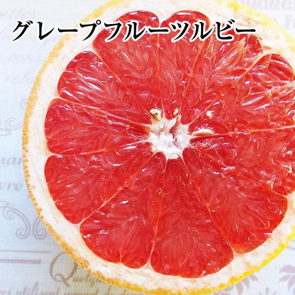 グレープフルーツ【ルビー】大玉１０個入り　健康・ダイエット・美容