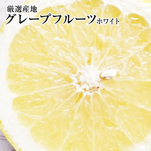 グレープフルーツ【ホワイト】大玉１０個入り化粧箱　健康・ダイエット・美容