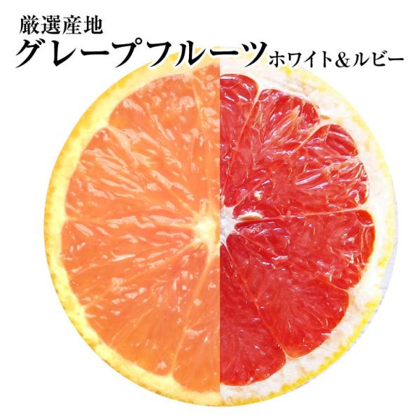 グレープフルーツ【ホワイト＆ルビー】大玉５個ずつ計１０個化粧箱　健康・ダイエット・美容
