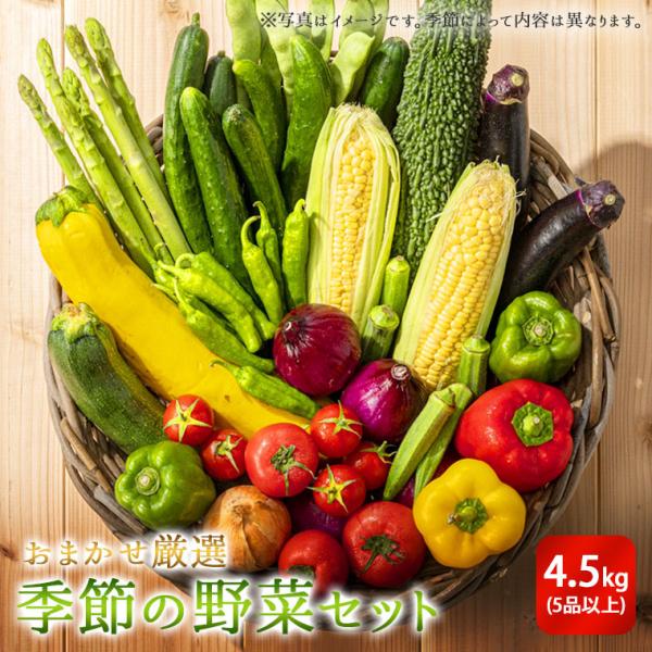 季節の野菜セット【主婦の味方ポッキリ企画】 【おまかせ厳選約４.５Ｋ入りの５品以上】送料無料