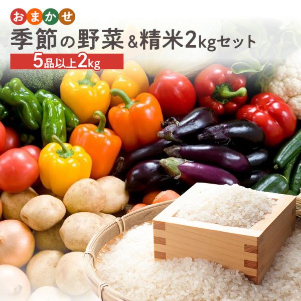 おまかせ季節の野菜5品以上と精米2kgセット 大切な家族の健康に安全な野菜を美味しく味わう！春野菜 ...