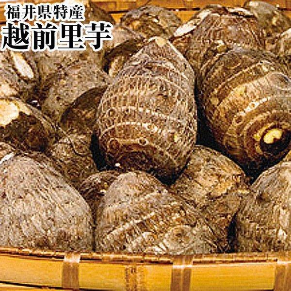 越前里芋【青秀】M-2L 約３Ｋ箱　福井県特産　福井ブランド里芋 上庄里芋 テラル越前 大野 勝山 ...