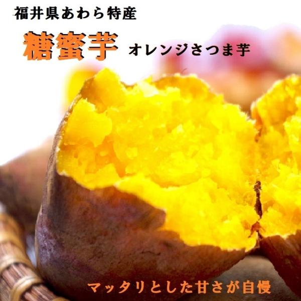 さつまいも 糖蜜芋 約1kg入り とうみつ芋 オレンジさつまいも 福井県 安納芋系 マッタリとした甘...