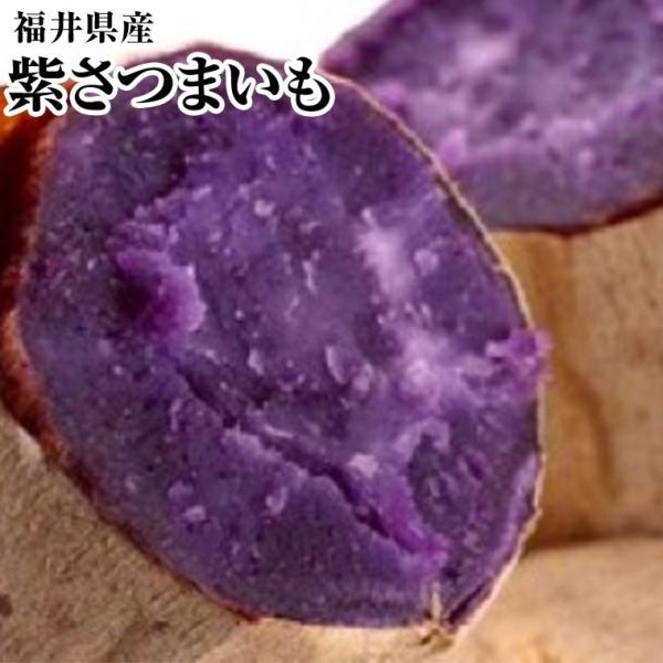 紫さつまいも 約５Ｋｇ箱 さつまいも 紫 福井県 あわら産 越前 えちぜん【マッタリとした甘さが自慢...