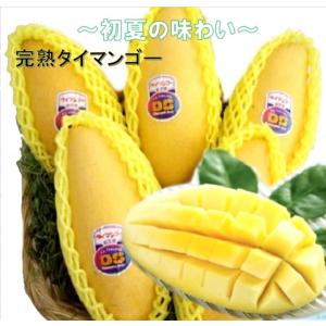 42.新入荷タイ産ナムドクマイマンゴー１２〜18玉入り玉数お任せ 楽天市場】大玉 ナンドクマイ タイ産マンゴー 計約1.5kg（4玉）簡易箱