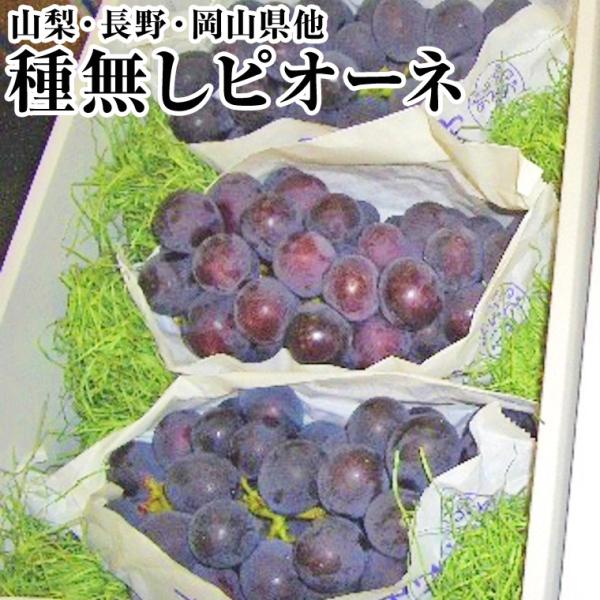 フル−ツギフト 種無しピオーネ化粧箱 大2房 山梨・長野・岡山県他厳選産地　贈り物・景品・お中元・敬...
