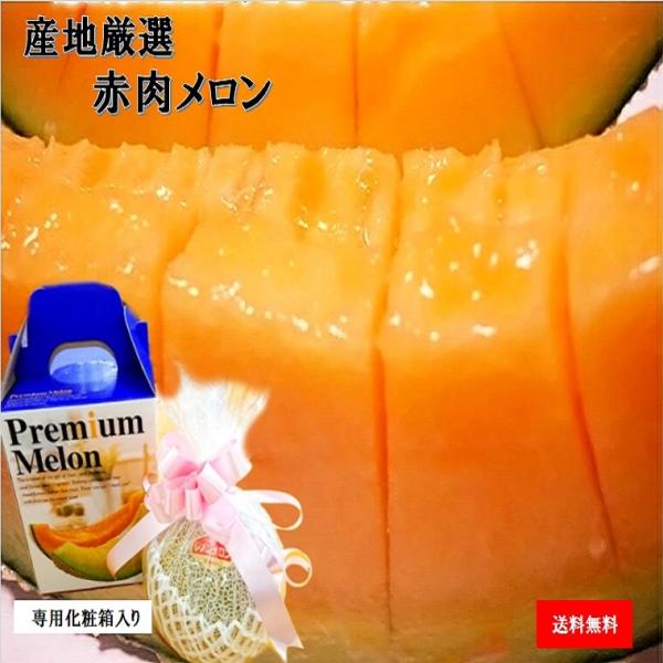 赤肉メロン ギフト用ＬＡサイズ以上１個化粧箱入りラッピング付き 国産厳選産地レッドメロン 【レノンメ...