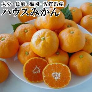温室ハウスミカン約５Ｋ箱　厳選産地から みかん ハウスみかん 　