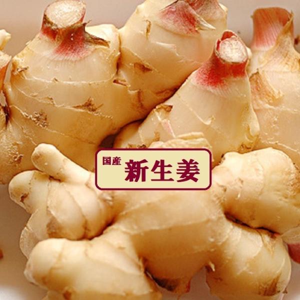 新生姜　約1kg  高知・福井県産他厳選産地　生姜 しょうが自家製 甘酢漬け 紅ショウガ 生姜湯 砂...
