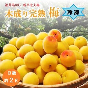 【冷凍】訳ありＢ級品袋入り 新平太夫梅 約２Kg 福井県木成り完熟梅　訳・傷あり【無選果】 南高梅・青梅・ 生梅・樹上完熟梅
