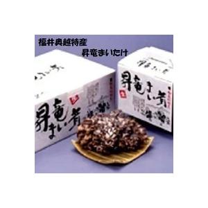 九頭竜まいたけ 約450ｇ1株入り化粧箱（福井県奥越産）九頭竜【くずりゅう】まいたけ 福井 ふくい
