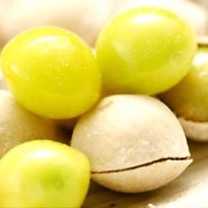 福井 永平寺特産 銀杏 生ぎんなん 約１００ｇ入り×1パック 殻付き ギンナン 季節の味 ネコポス配...