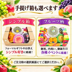 果物ギフト 食の宝石箱【F】6品入り化粧箱 選...の詳細画像4