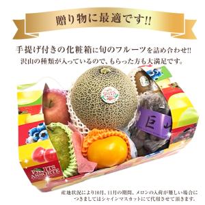 果物ギフト 食の宝石箱【F】 母の日 2026...の詳細画像3