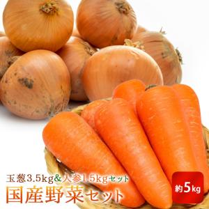 国産野菜セット約５Ｋ詰！【玉葱３.５Ｋ＆人参１.５Ｋセット】【主婦の味方】