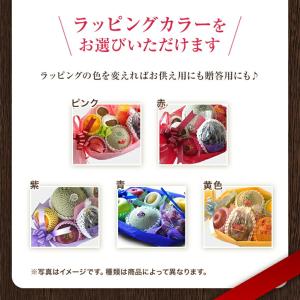 果物ギフト 食の宝石箱 【果物バスケット】5〜...の詳細画像4