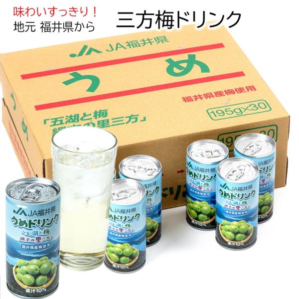福井三方梅ドリンク３０本１ケース 梅 福井県産 梅ドリンク　