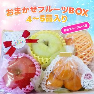 果物ギフト 食の宝石箱【B-5】ギフト用おまか...の詳細画像1