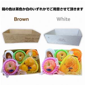 果物ギフト 食の宝石箱【B-5】ギフト用おまか...の詳細画像3