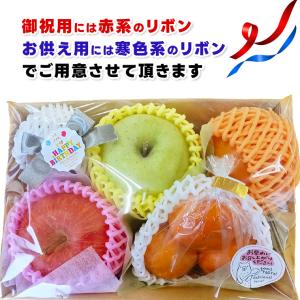 果物ギフト 食の宝石箱【B-5】ギフト用おまか...の詳細画像4