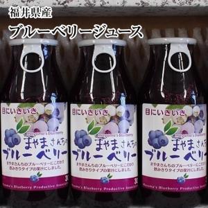 大川食品工業 黒ごまときな粉 15g×30袋 きな粉ドリンク〜置き換え