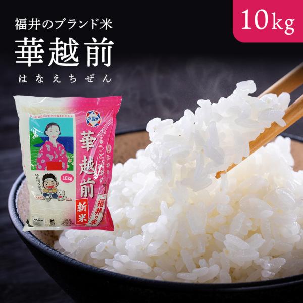 令和７年度産 精米【はなえちぜん】 10KG袋又は(５kg×２) 【福井県米ブランド米】華越前 ハナ...