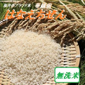 令和7年度産 精米【はなえちぜん】 5KG袋 【福井県米ブランド米】華