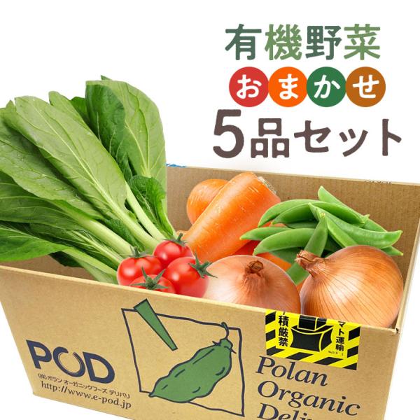 有機野菜セット おまかせ5品【主婦の味方】店舗からの直送 旬の野菜・健康野菜・こだわり野菜