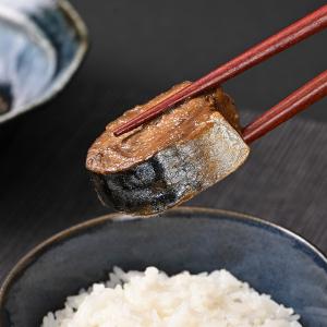 福井缶詰 若狭宇宙鯖缶 8缶 缶詰 サバ缶 缶...の詳細画像4