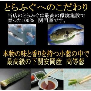 ふぐ鍋 ふぐ刺 とらふぐ セット 本場関門海峡...の詳細画像5