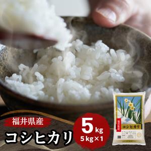 米 コシヒカリ5kg お米 福井県産 白米 平成29年産 特A 送料無料