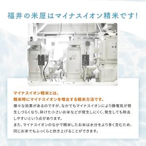 新米 米 コシヒカリ 10kg 5kg×2袋 ...の詳細画像5