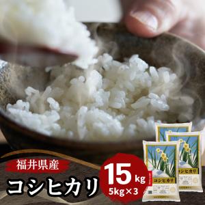 令和7年度　コシヒカリ15kg（玄米） 令和7年産 コシヒカリ 玄米15kg | さんさん池見