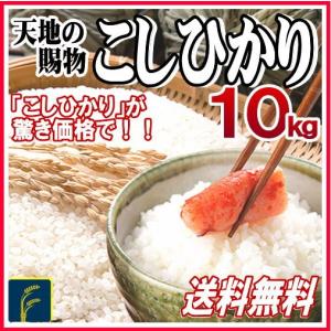 ●お米10ｋｇ　天地の賜物コシヒカリ　10kg 白米　25年産　送料無料
