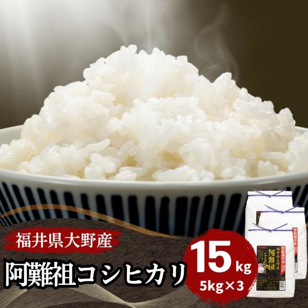 米 コシヒカリ 15kg 5kg×3袋  福井県大野阿難祖産 白米 令和5年産 送料無料