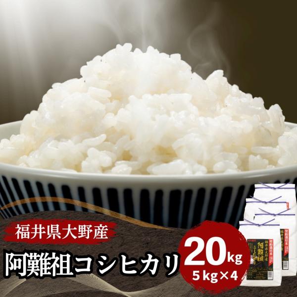 米 コシヒカリ 20kg 5kg×4袋 福井県大野阿難祖産 白米 令和5年産 送料無料